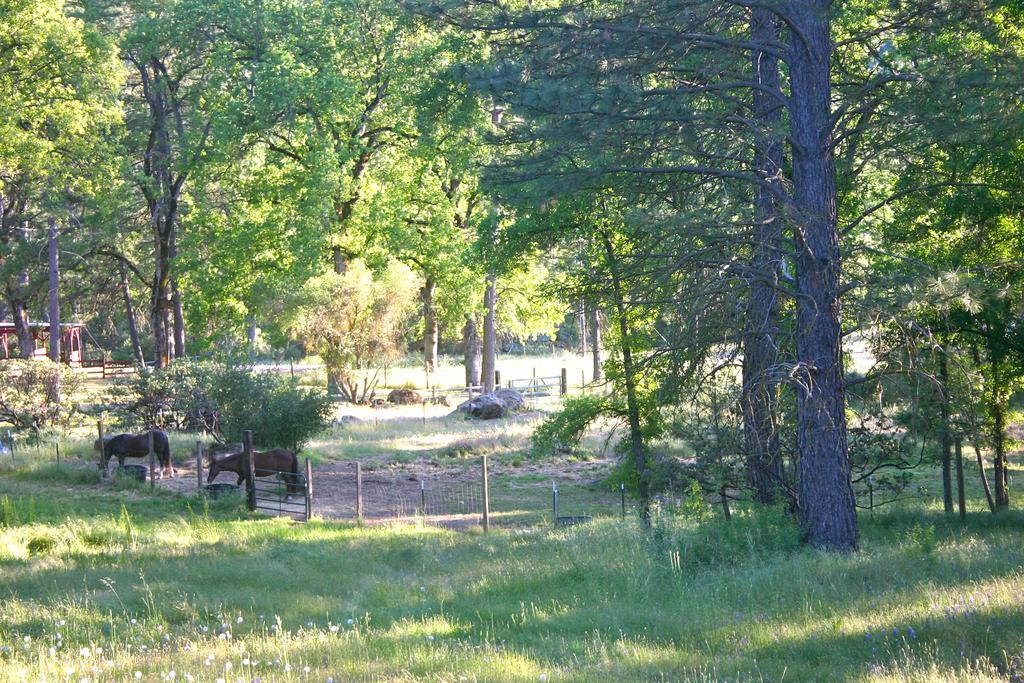 Villa Little Red Caboose Oakhurst Esterno foto